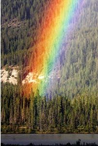 Engineer pic 3 for Duggal Sir's article