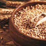 India wheat export approval