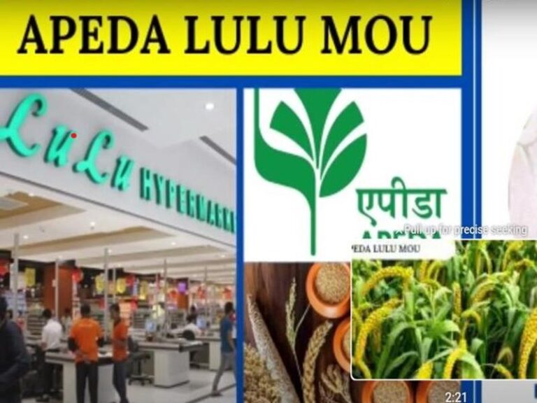 apeda lulu