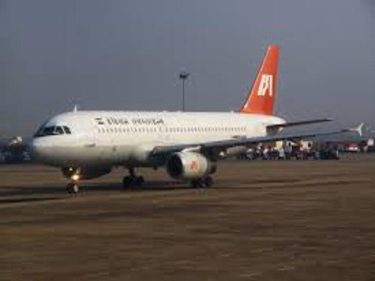 Indian Airlines_Aeroplane
