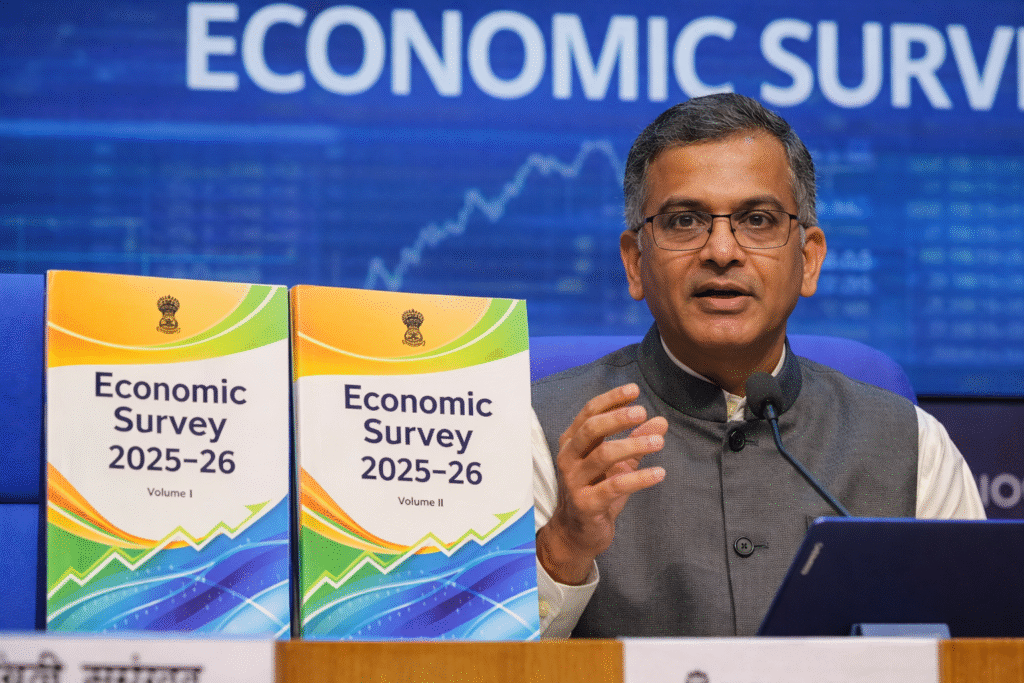 Economic Survey news pic